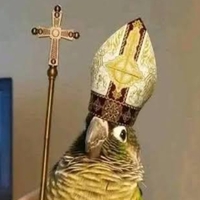 Avatar do usuário